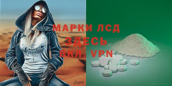 твердый Гусев