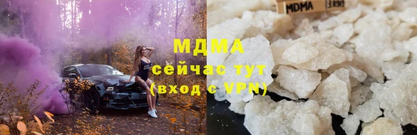 твердый Гусев