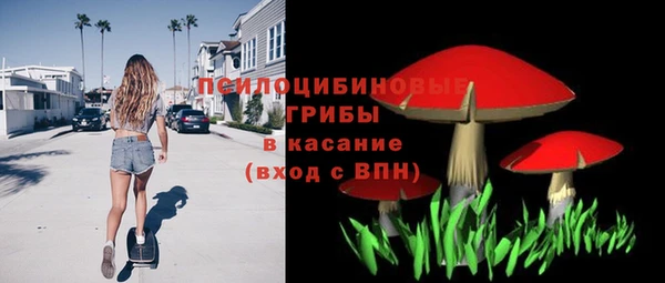 спайс Гусиноозёрск