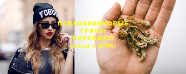 твердый Гусев