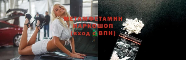 твердый Гусев