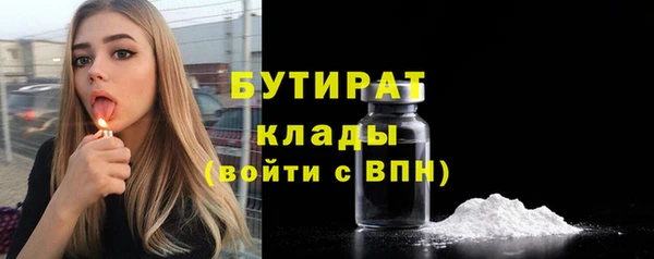 твердый Гусев