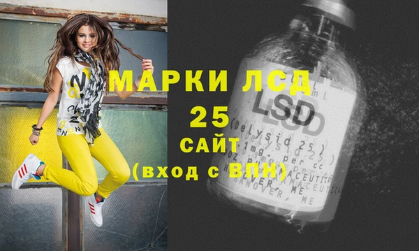твердый Гусев