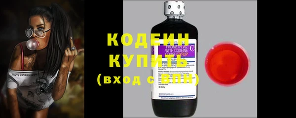 твердый Гусев