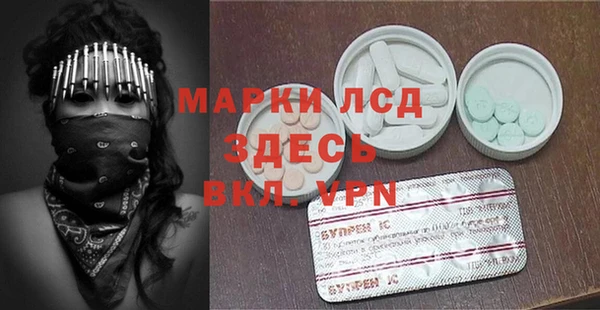 твердый Гусев