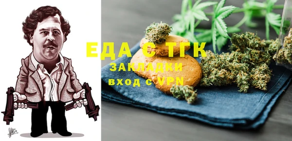 твердый Гусев