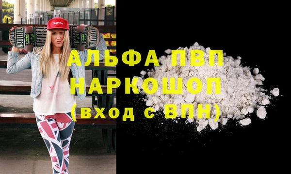 твердый Гусев