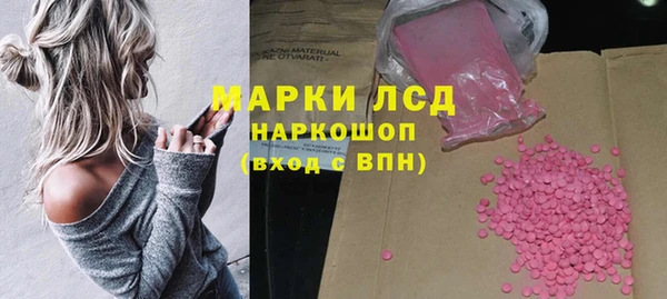 твердый Гусев