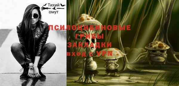 твердый Гусев