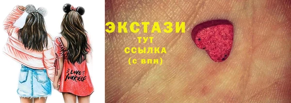 твердый Гусев