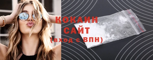 твердый Гусев