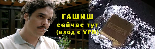 твердый Гусев