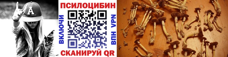 Псилоцибиновые грибы Magic Shrooms  omg онион  Невинномысск 
